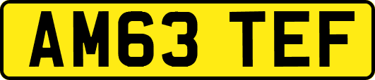 AM63TEF