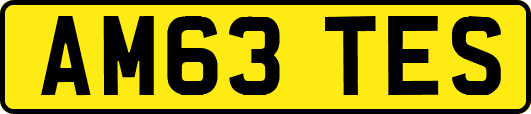 AM63TES