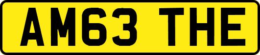 AM63THE