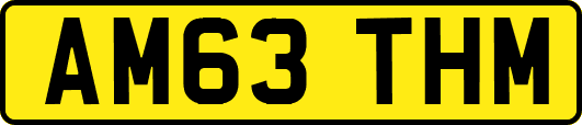 AM63THM