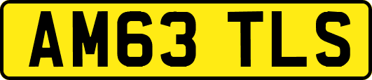 AM63TLS