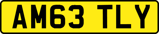AM63TLY