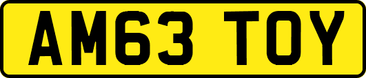 AM63TOY