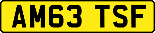 AM63TSF