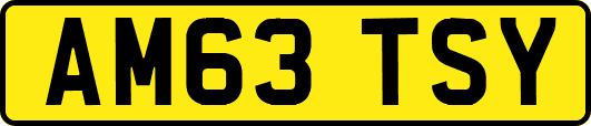 AM63TSY