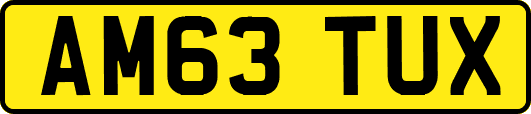 AM63TUX