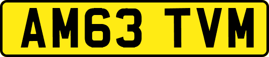 AM63TVM