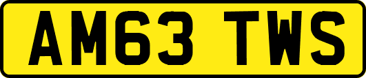 AM63TWS