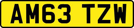 AM63TZW