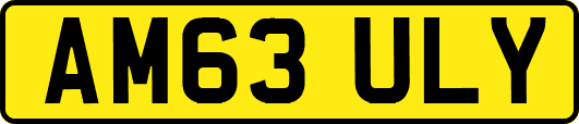 AM63ULY