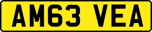 AM63VEA