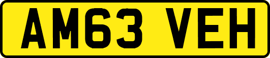 AM63VEH