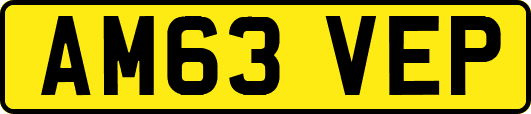 AM63VEP