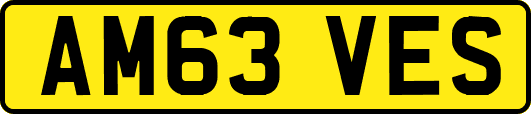 AM63VES