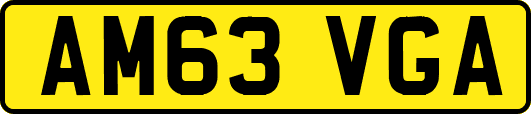 AM63VGA