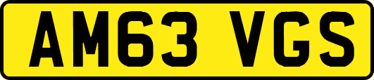 AM63VGS