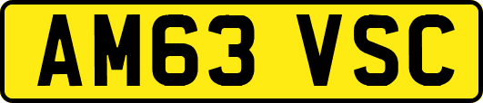 AM63VSC