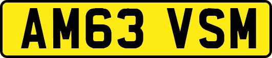 AM63VSM