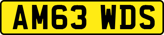AM63WDS