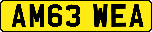 AM63WEA