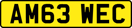 AM63WEC