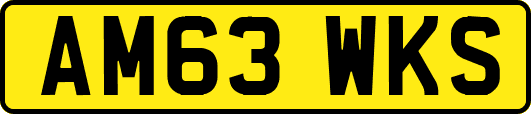 AM63WKS