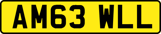 AM63WLL