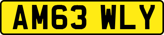 AM63WLY