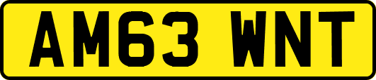 AM63WNT