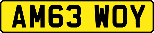 AM63WOY