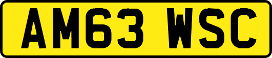 AM63WSC