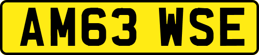 AM63WSE