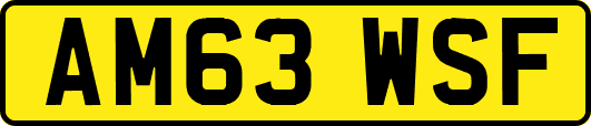 AM63WSF