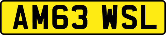 AM63WSL
