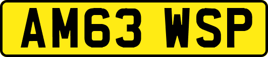AM63WSP