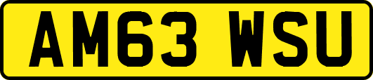 AM63WSU
