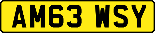 AM63WSY
