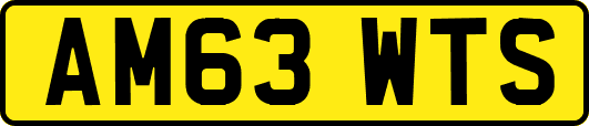 AM63WTS