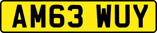 AM63WUY