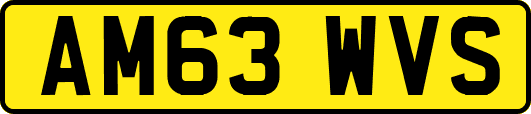 AM63WVS