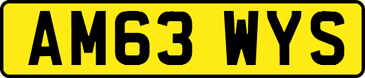 AM63WYS