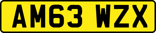 AM63WZX