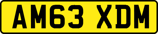 AM63XDM