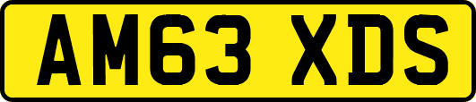 AM63XDS