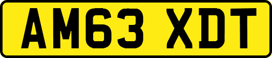 AM63XDT