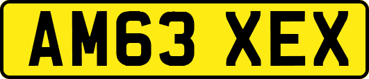 AM63XEX