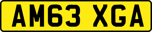 AM63XGA