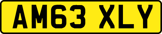 AM63XLY