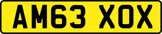 AM63XOX