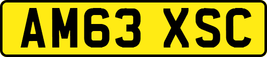 AM63XSC